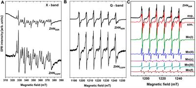 Atomic scale insight into the decomposition of nanocrystalline zinc hydroxynitrate toward ZnO using Mn2+ paramagnetic probes